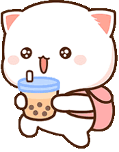 Gatito con bebida de tapioca